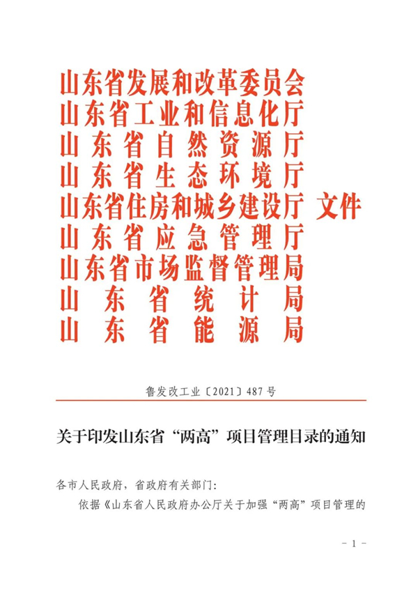 山東省人民政府辦公廳關(guān)于加強“兩高”項目管理的通知（附兩高項目管理目錄）
